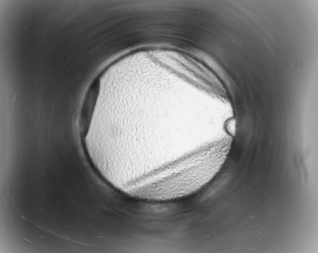 X0000088070951200706081707