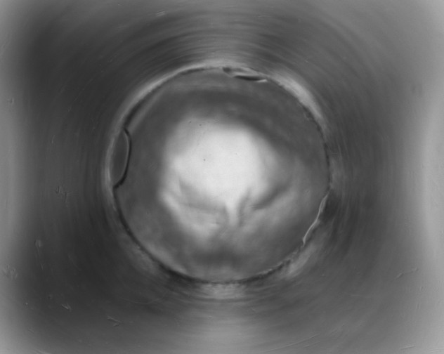 X0000088070952200706081707