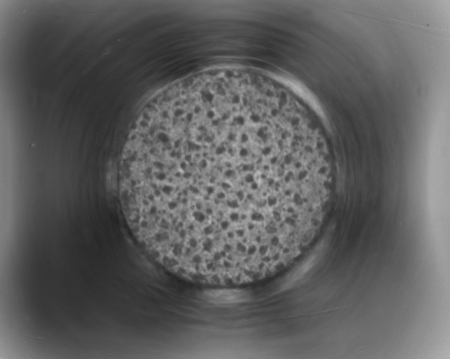 X0000088070953200706081707