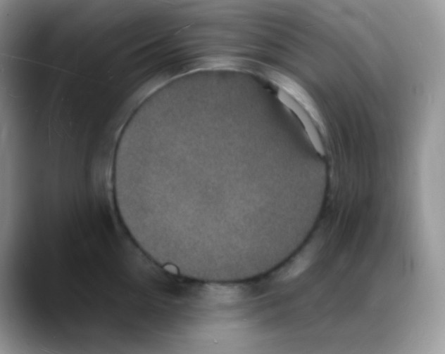 X0000088070954200706081707
