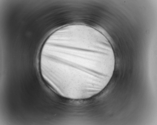 X0000088070955200706081707