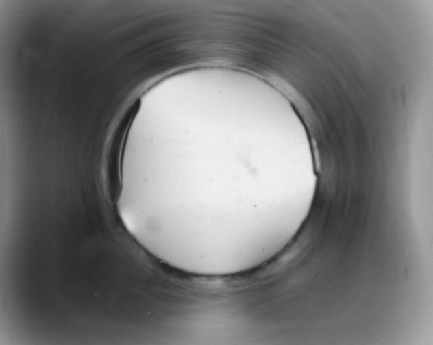X0000088070956200706081707