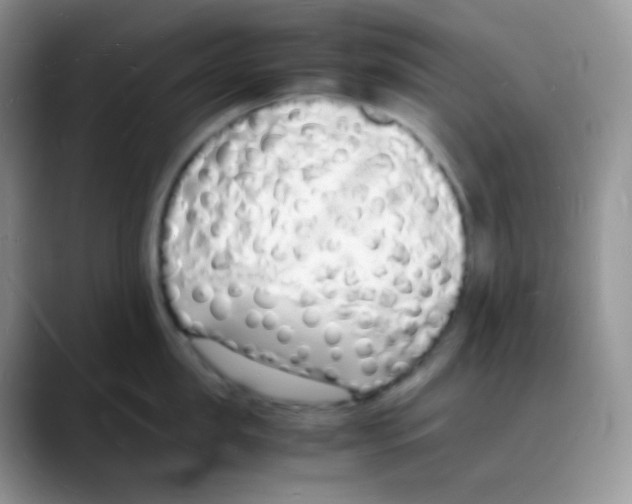 X0000088070957200706081707
