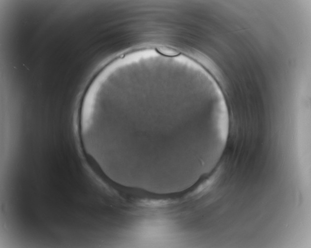 X0000088070958200706081707