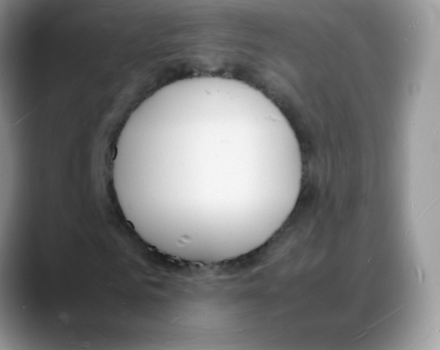 X0000088070961200706081706