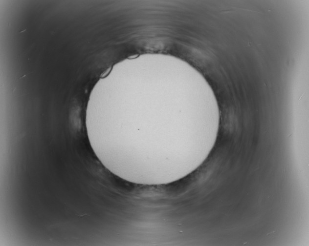 X0000088070962200706081706