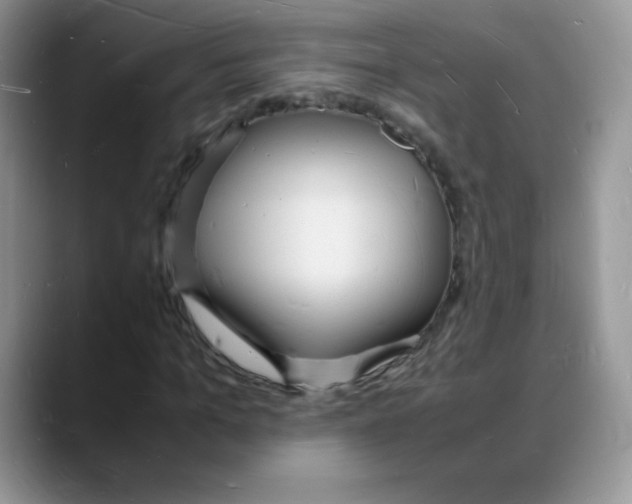 X0000088070965200706081706