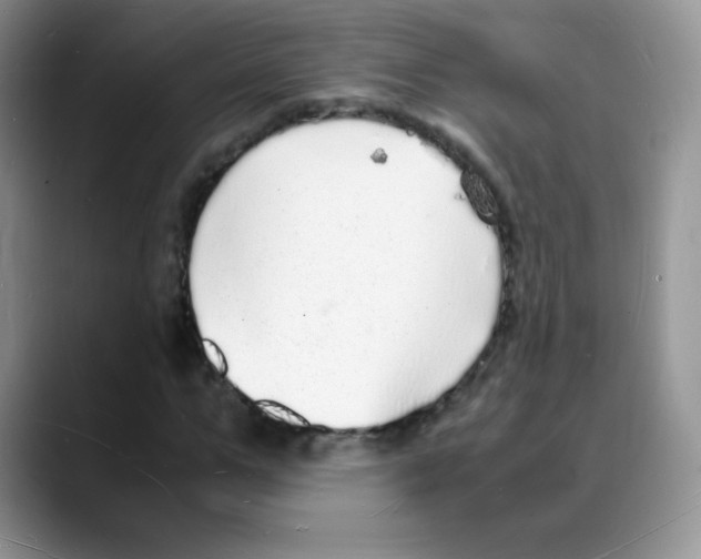 X0000088070967200706081706