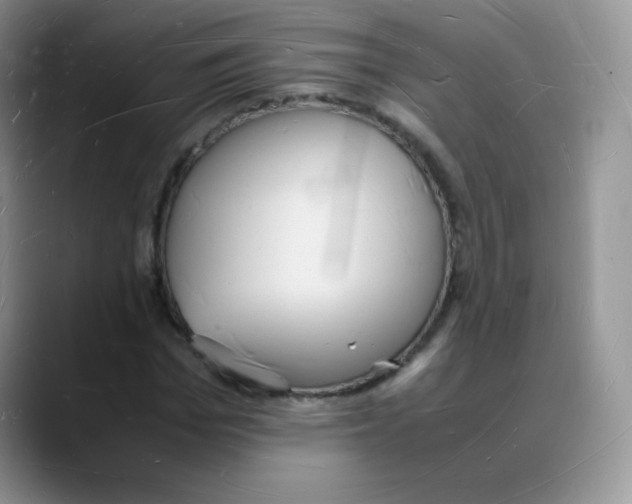 X0000088070969200706081706