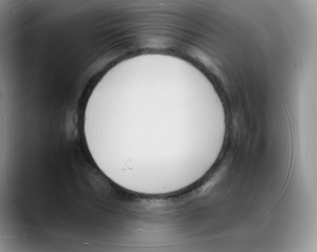 X0000088070970200706081706