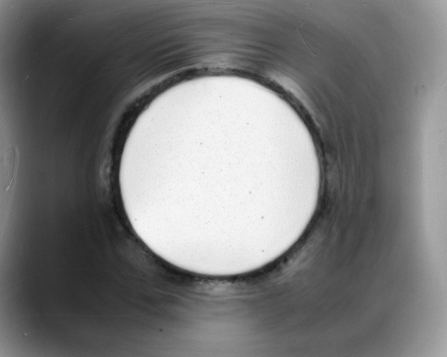 X0000088070971200706081706