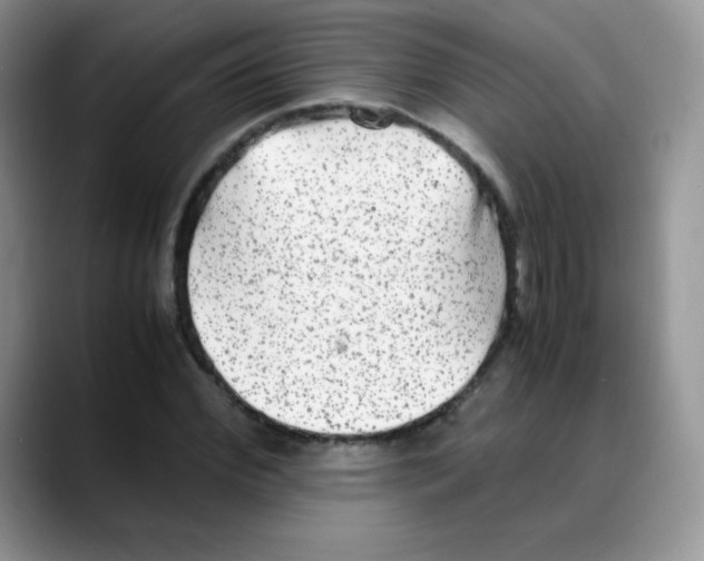 X0000088070972200706081706