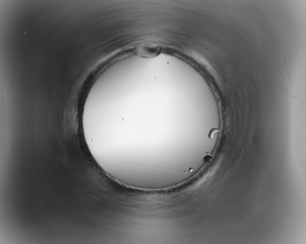 X0000088070973200706081706