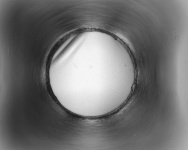 X0000088070976200706081706