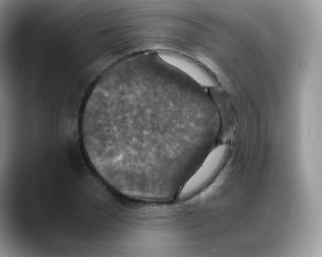 X0000088070977200706081706