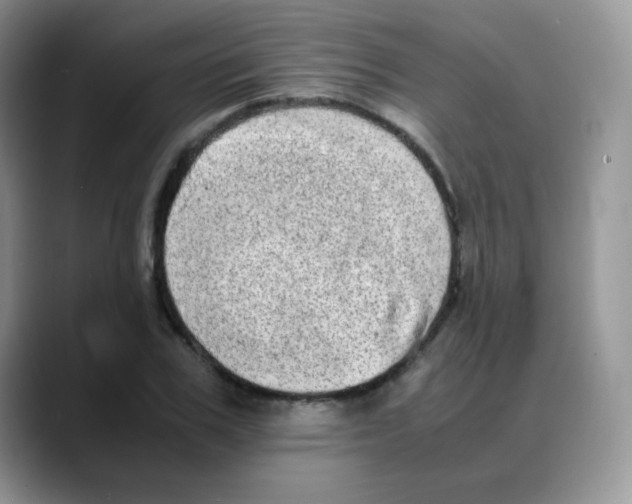 X0000088070979200706081706