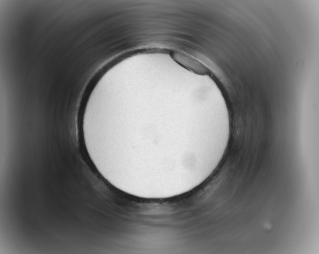 X0000088070980200706081706
