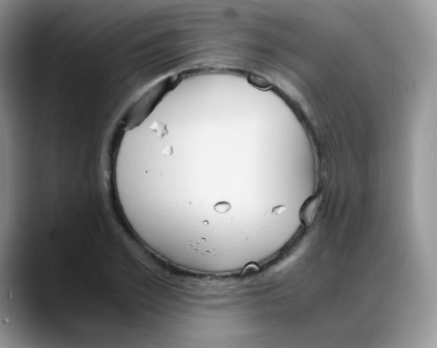 X0000088070981200706081706