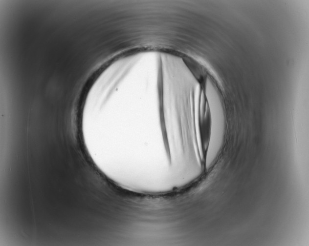 X0000088070983200706081706