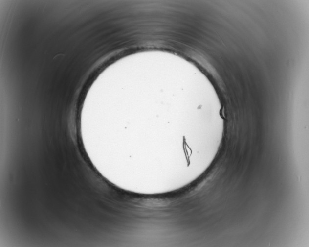 X0000088070984200706081706