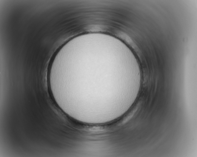 X0000088070986200706081706