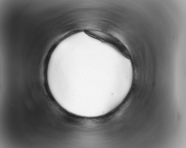 X0000088070987200706081706