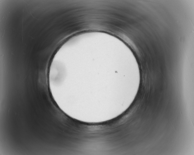 X0000088070988200706081706