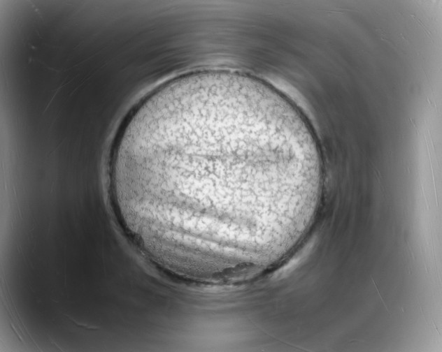 X0000088070989200706081706