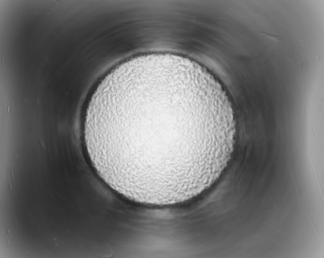 X0000088070990200706081706