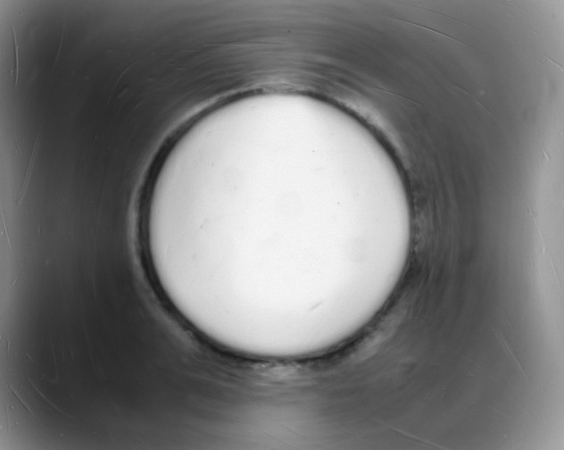 X0000088070991200706081706