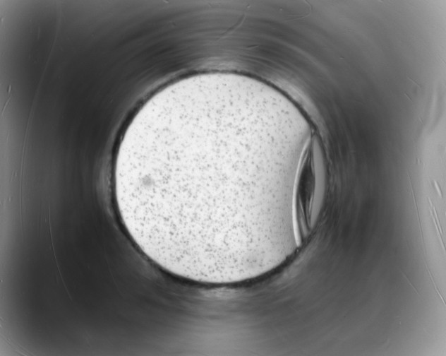 X0000088070992200706081706