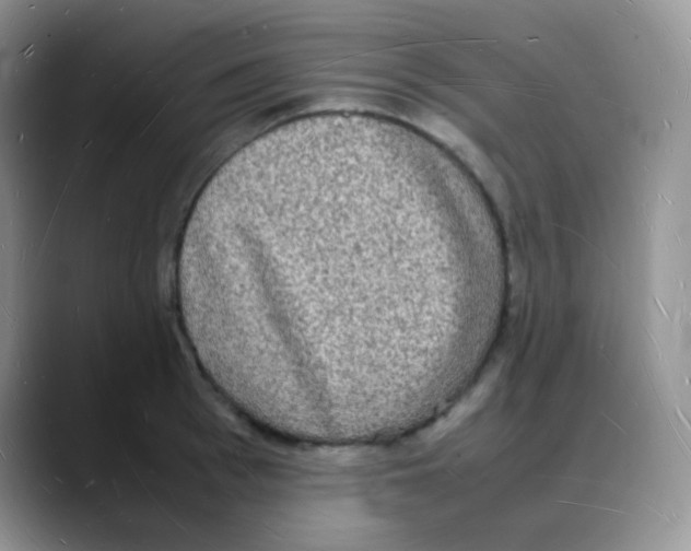 X0000088070993200706081706