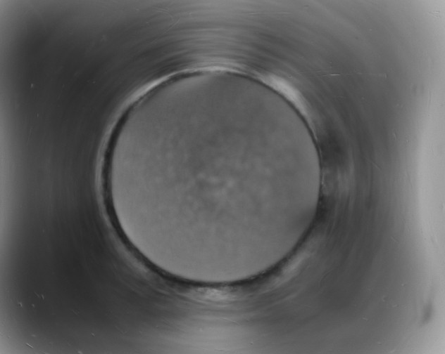 X0000088070995200706081706