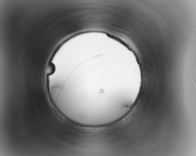 X0000088070996200706081706