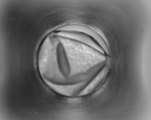 X0000088070997200706081706