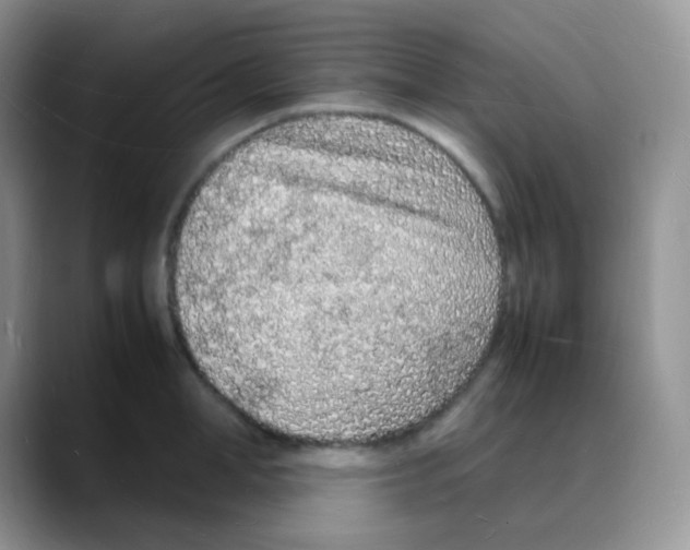 X0000088070998200706081706
