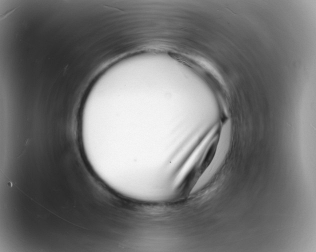 X0000088070999200706081706