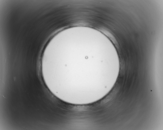 X0000088071000200706081706