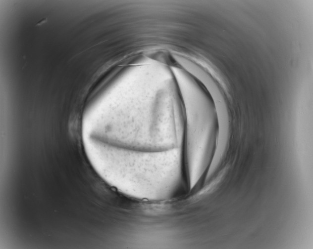 X0000088071001200706081706