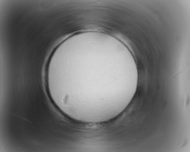 X0000088071003200706081706