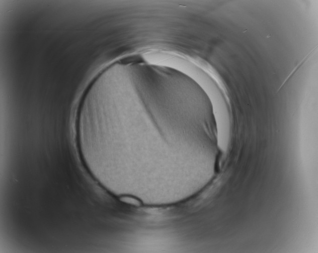 X0000088071005200706081706