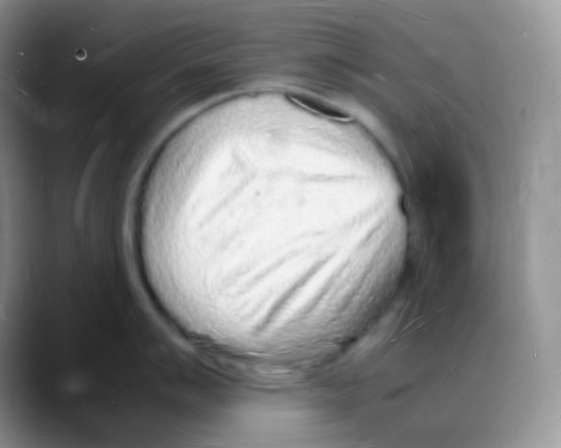 X0000088071007200706081706