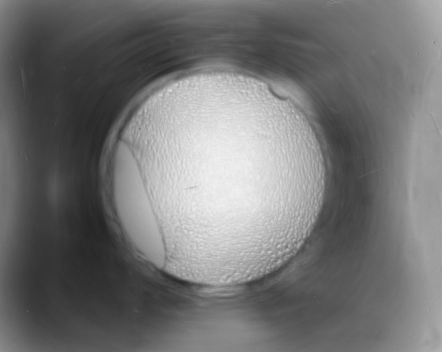 X0000088071008200706081706