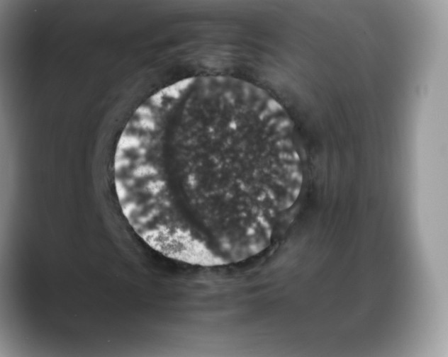 X0000088071009200706081705