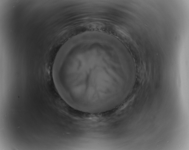 X0000088071013200706081705