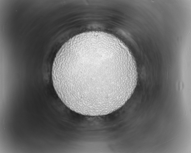 X0000088071015200706081705