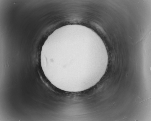 X0000088071016200706081705