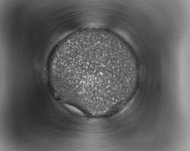 X0000088071018200706081705