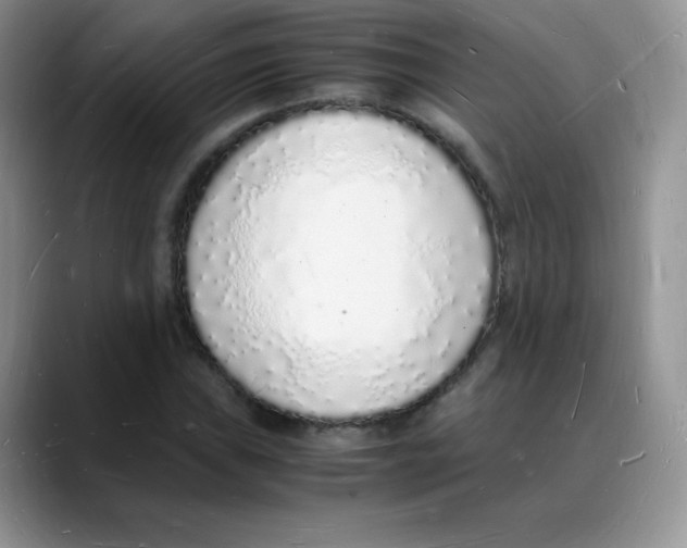 X0000088071019200706081705