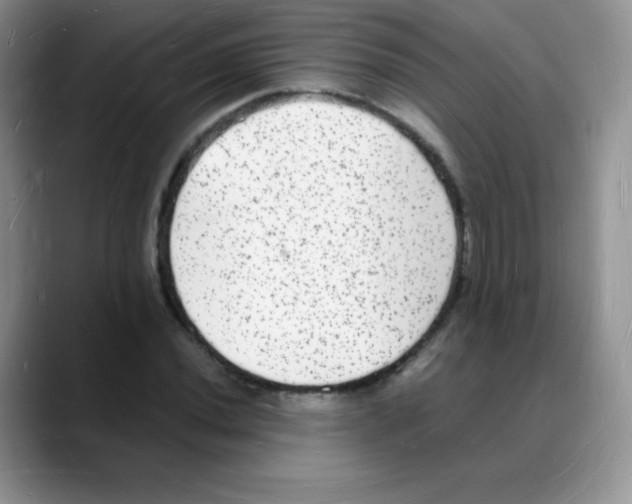 X0000088071020200706081705